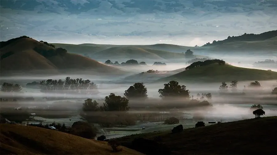 Fine Art by S.Skower